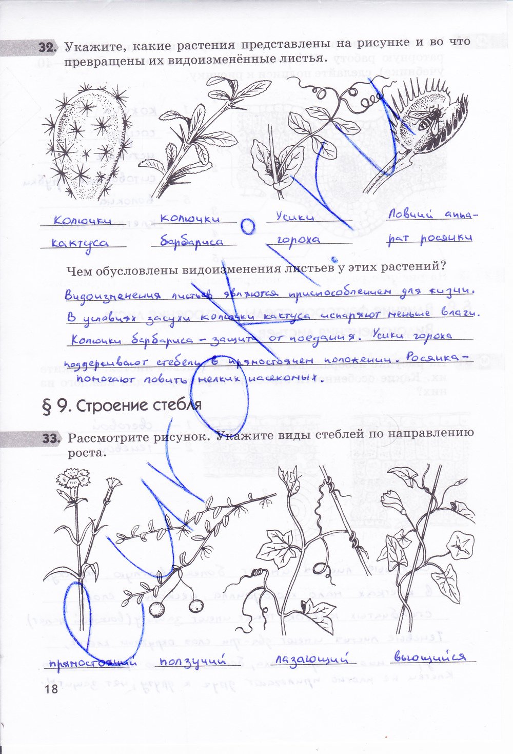 Биология 6 класс рабочая тетрадь Многообразие покрытосеменных растений Пасечник - страница 18