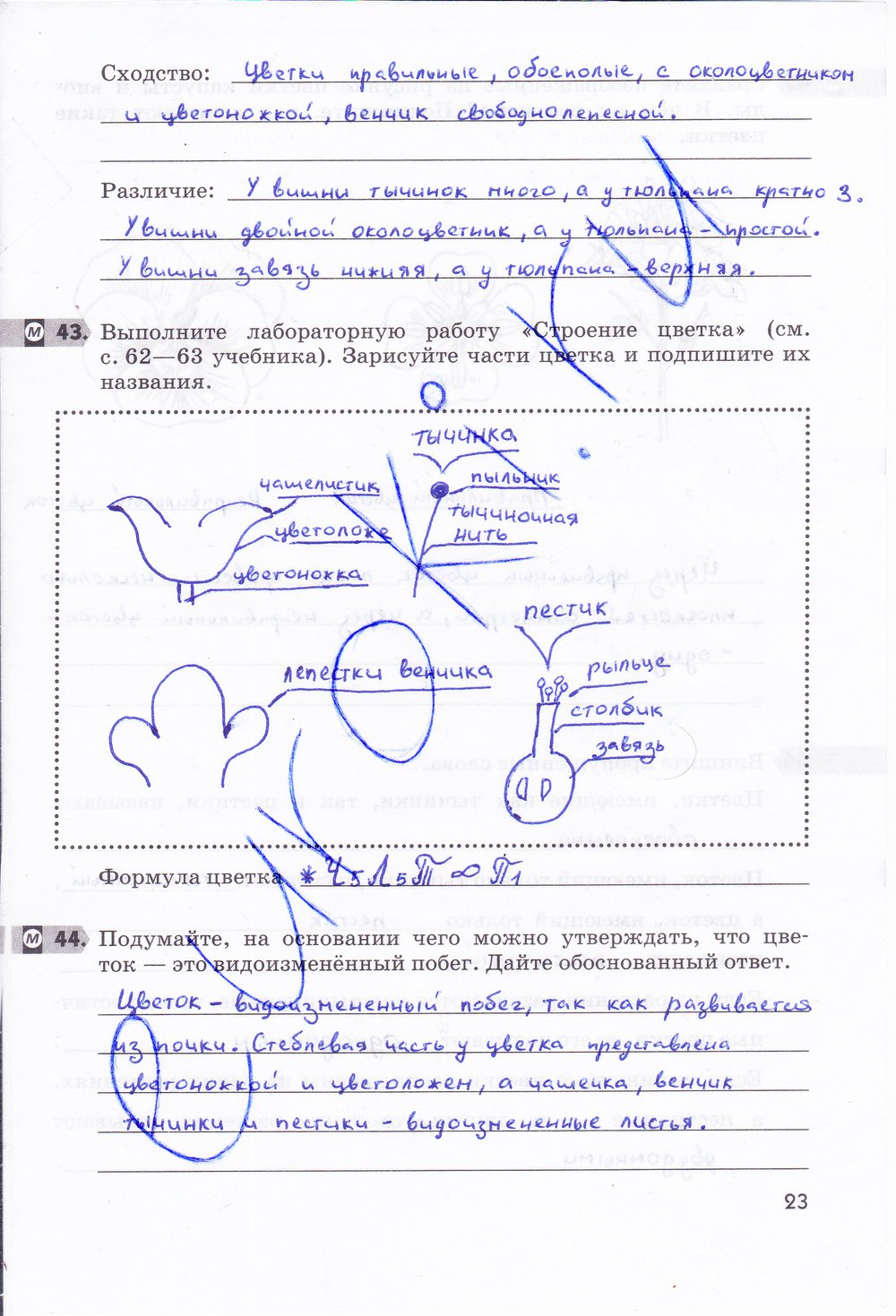 Биология 6 класс рабочая тетрадь Многообразие покрытосеменных растений Пасечник - страница 23