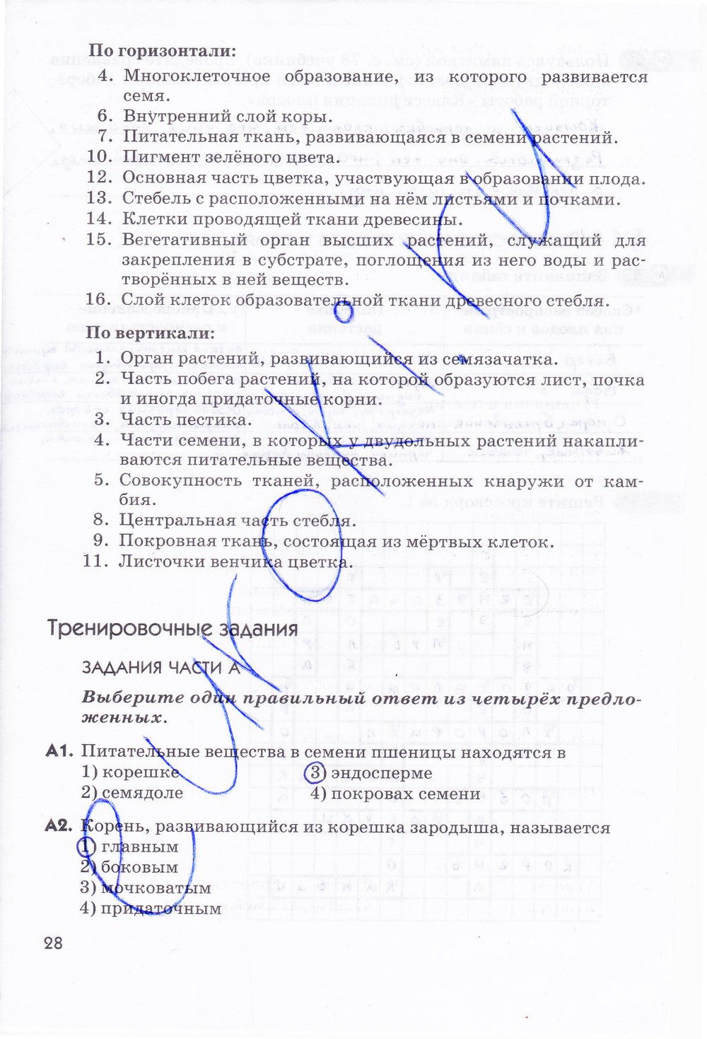 Биология 6 класс рабочая тетрадь Многообразие покрытосеменных растений Пасечник - страница 28