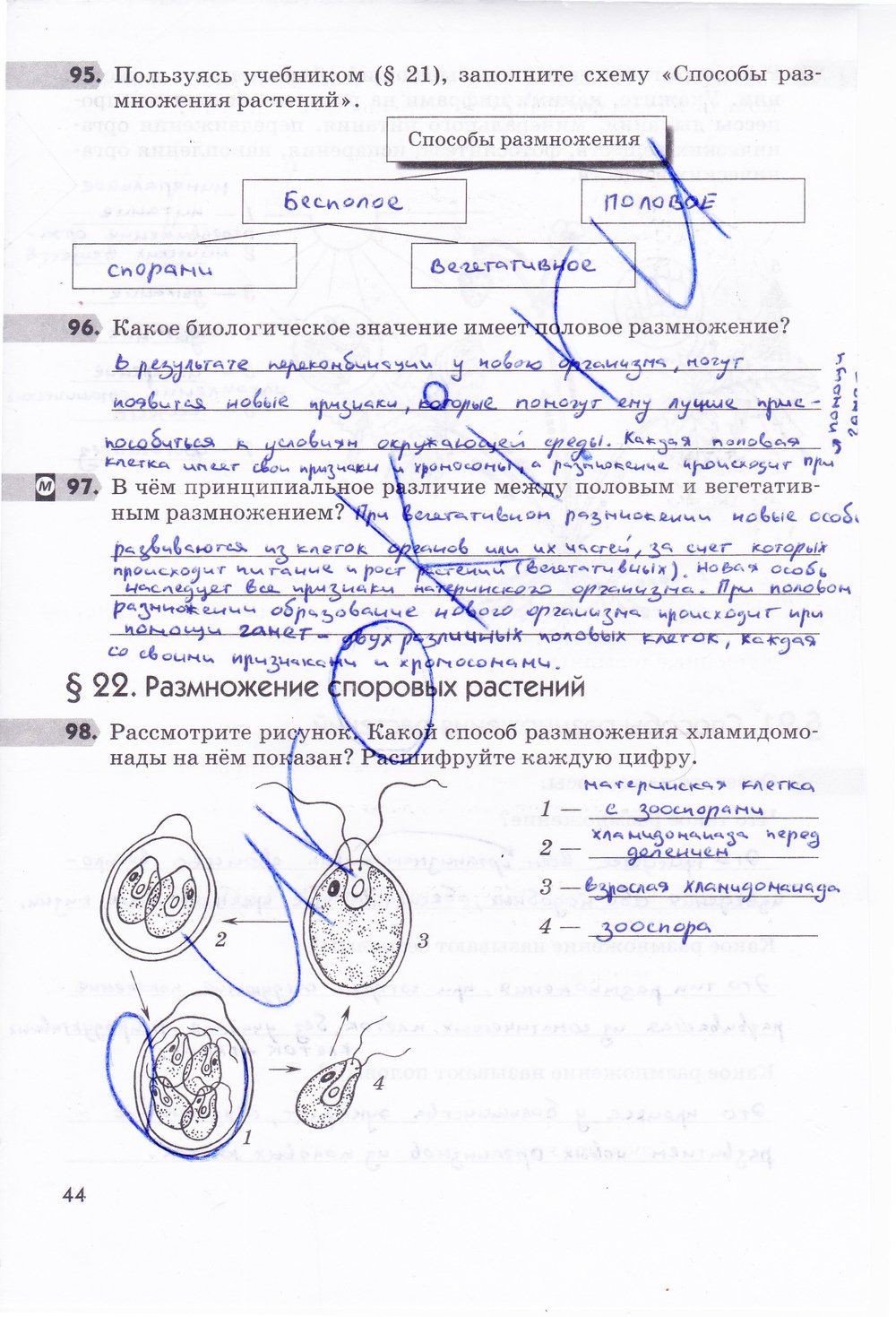 Биология 6 класс рабочая тетрадь Многообразие покрытосеменных растений Пасечник - страница 44