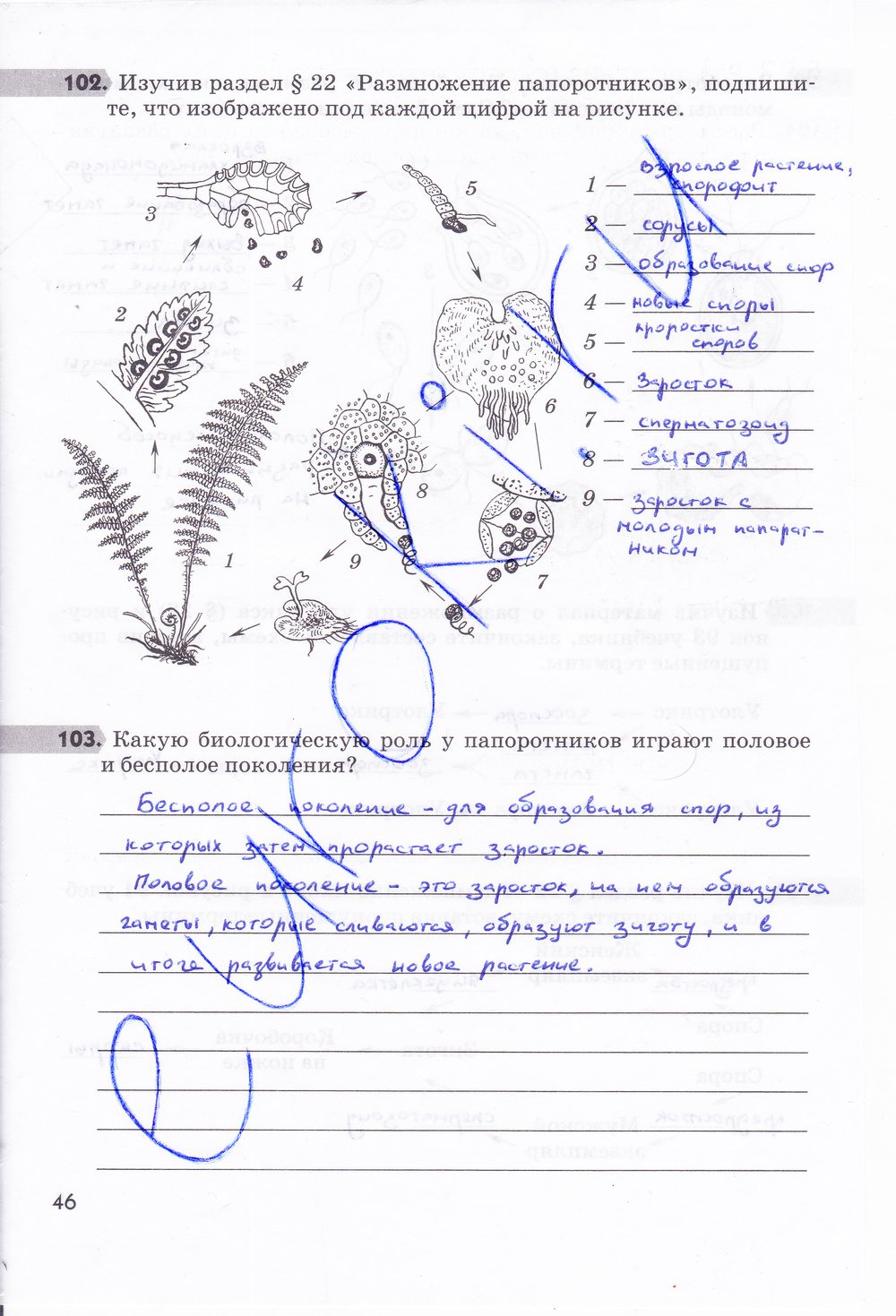 Биология 6 класс рабочая тетрадь Многообразие покрытосеменных растений Пасечник - страница 46