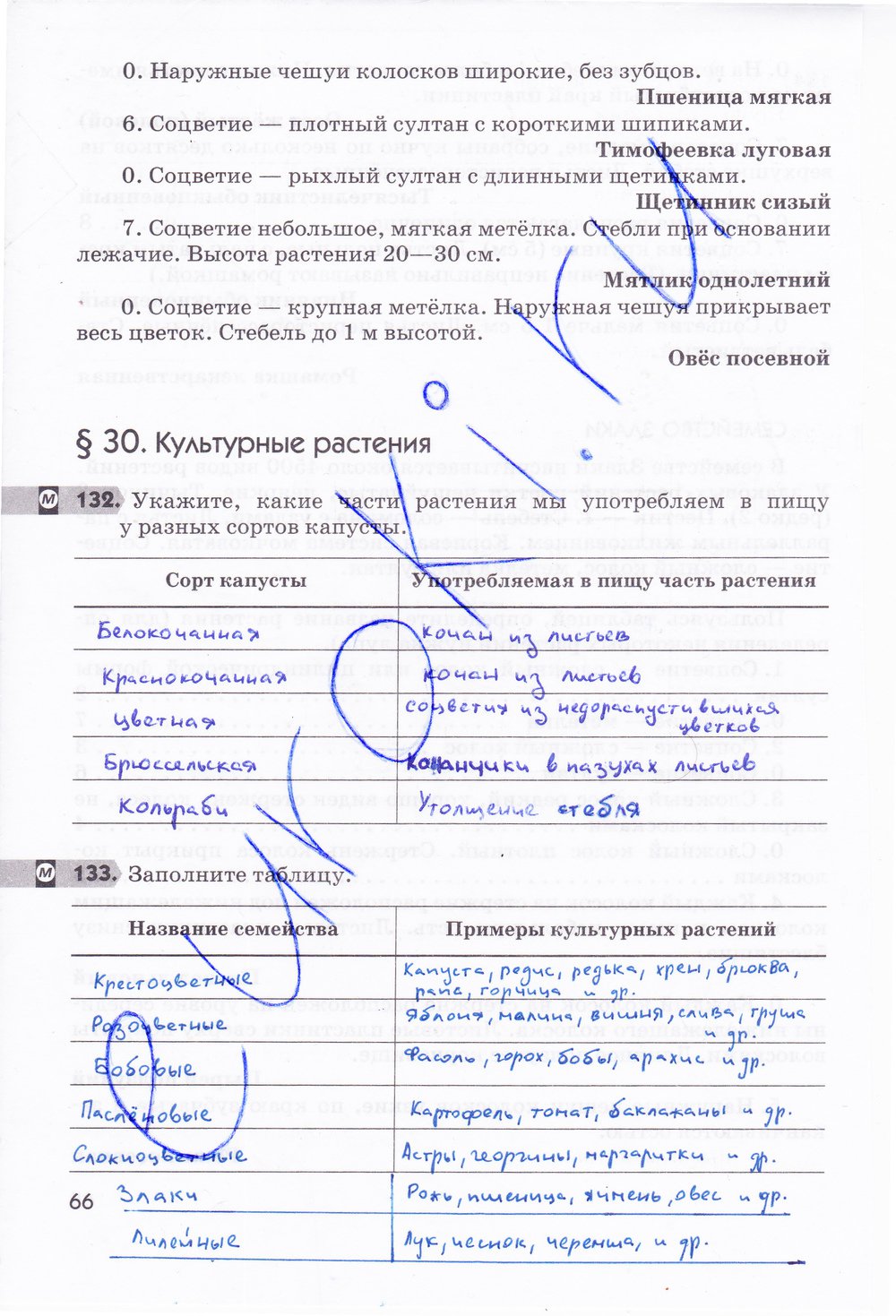 Биология 6 класс рабочая тетрадь Многообразие покрытосеменных растений Пасечник - страница 66