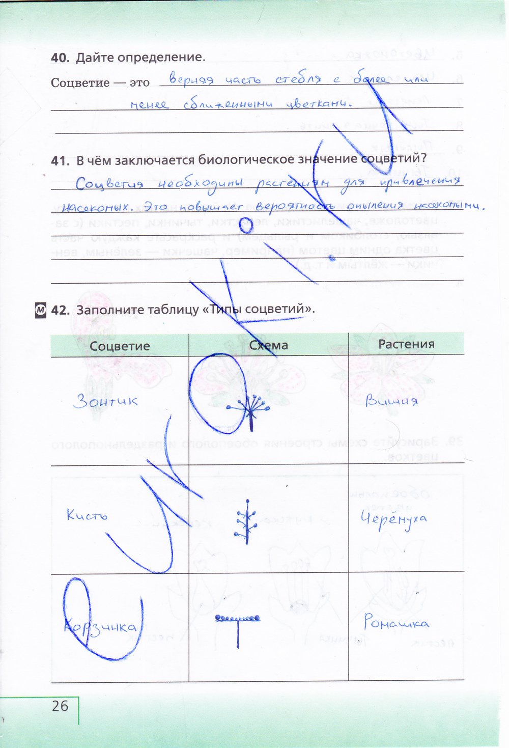 Биология 6 класс рабочая тетрадь Сонин с белочкой - страница 26