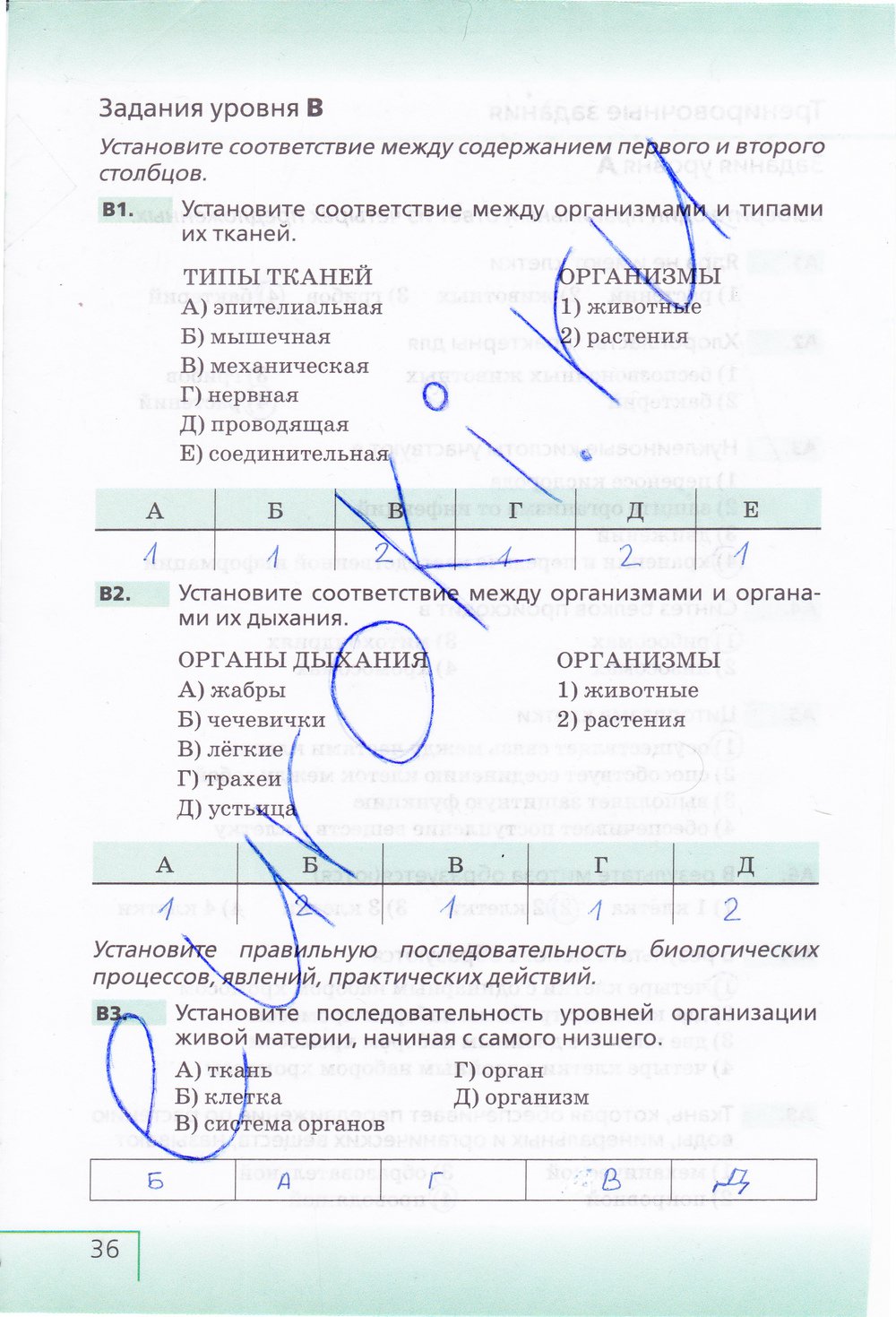Биология 6 класс рабочая тетрадь Сонин с белочкой - страница 36