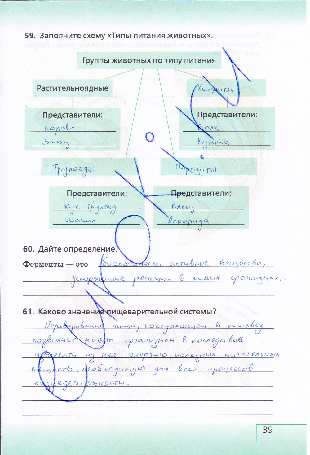 Биология 6 класс рабочая тетрадь Сонин с белочкой - страница 39