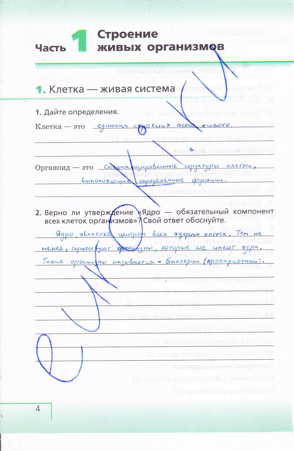 Биология 6 класс рабочая тетрадь Сонин с белочкой - страница 4