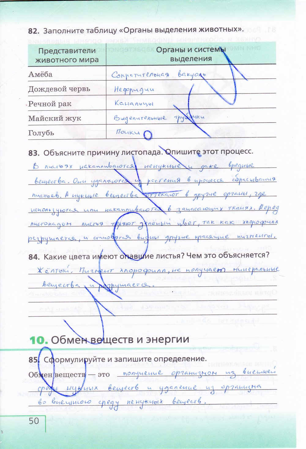Биология 6 класс рабочая тетрадь Сонин с белочкой - страница 50