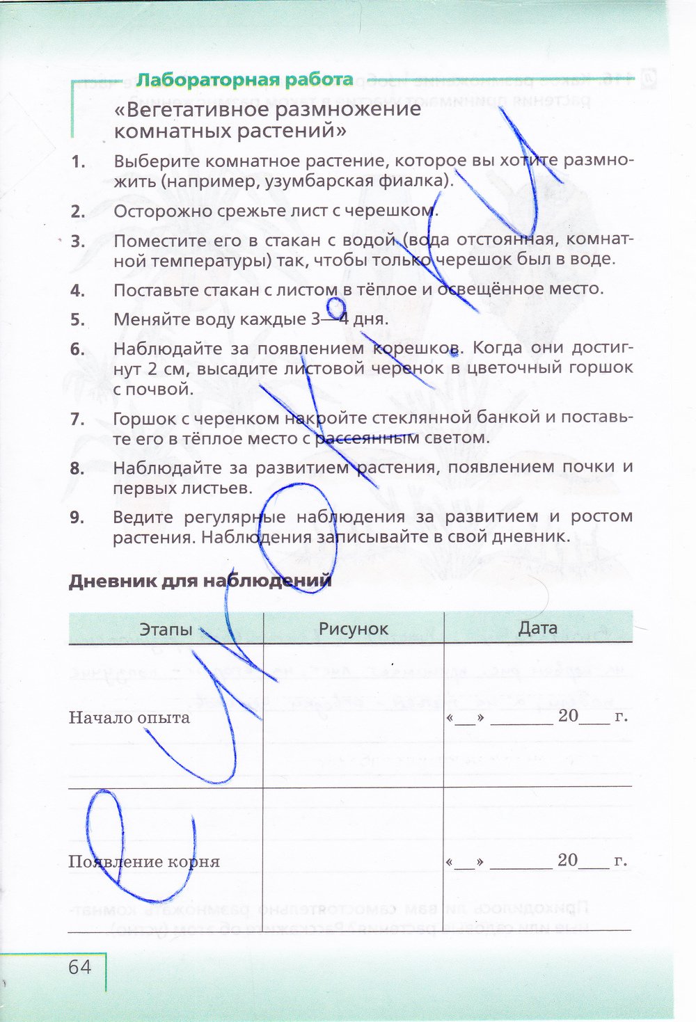 Биология 6 класс рабочая тетрадь Сонин с белочкой - страница 64