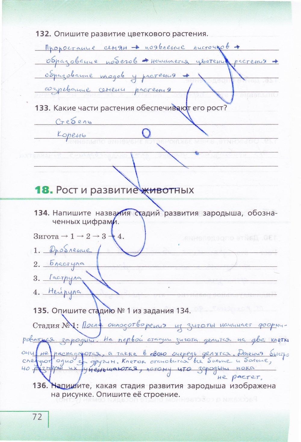 Биология 6 класс рабочая тетрадь Сонин с белочкой - страница 72