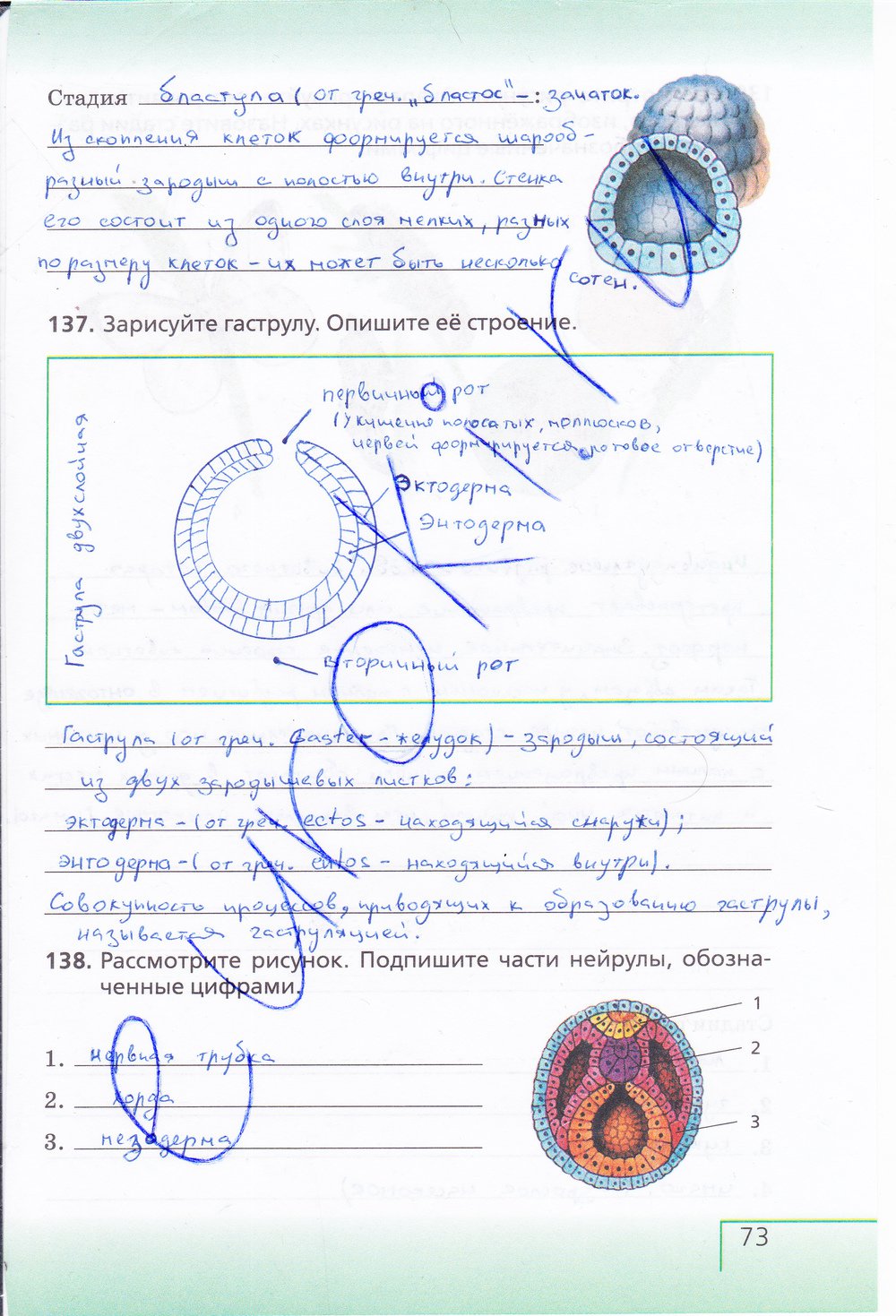 Биология 6 класс рабочая тетрадь Сонин с белочкой - страница 73