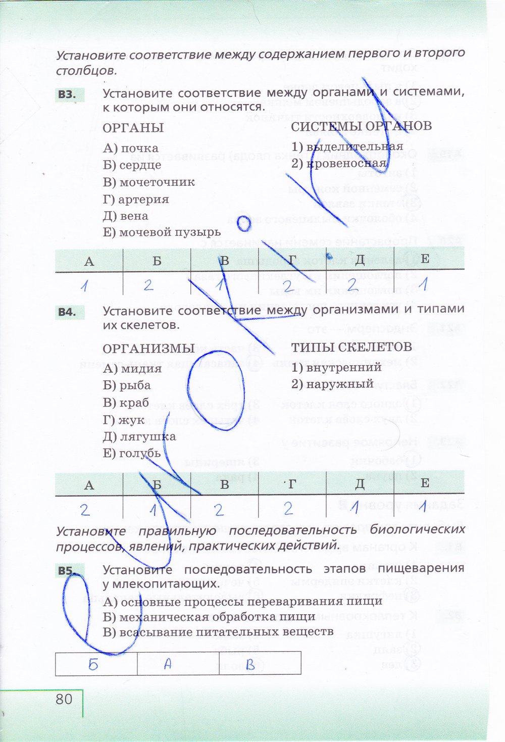 Биология 6 класс рабочая тетрадь Сонин с белочкой - страница 80