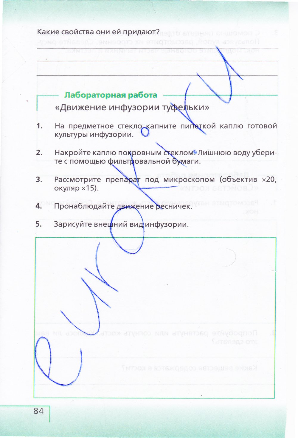 Биология 6 класс рабочая тетрадь Сонин с белочкой - страница 84